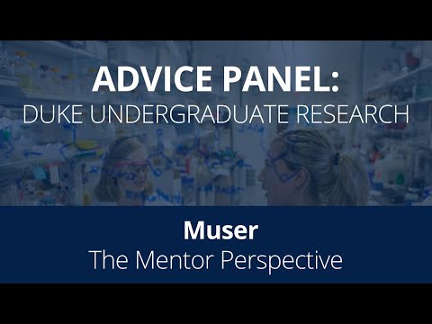 Graduate Students Give Advice About Applying for Undergrad Research Positions - Muser