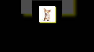 Box shadow property #css3 #cssproperties #cssproject #coding #codeflow