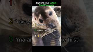 Ranking The Cutest Seal Moments