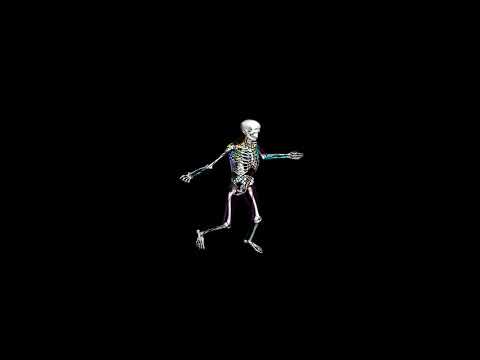 Biomechanical Human Simulation: Walk with Arms Out