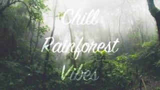 Chill Rainforest Vibes 1.0 | 10 Hours