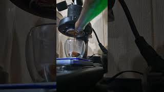 Daily Brew Espresso using Flair 58: March 22, 2025