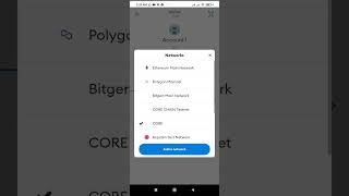 CORE CHAIN NETWORK at METAMASK