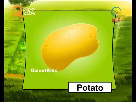Basic Vegetables Names With Picture in English | Characteristics Of Vegetables For Kids