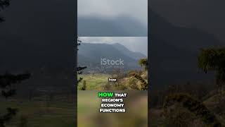 Transforming Local Economies: The Rise of Agritourism