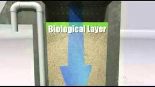 BioFilter Video copy