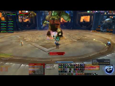 Gecko's vs Festergut
