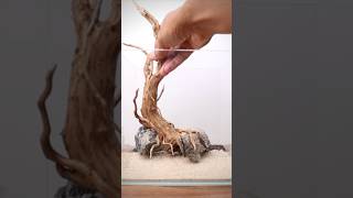 Creating a hardscape for a nano cube aquascape