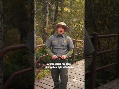 Park Ranger Jeff has a Halloween joke for you