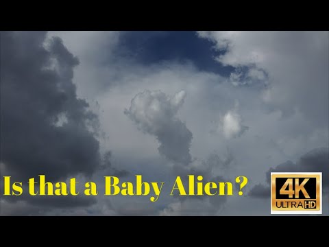 Is that a Baby Alien ? #alien #aliens #dronecapture #dronepilot