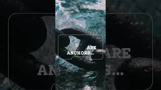 Anchored Dreams 🌊🚢 #SharedDreams #AnchorsOfLove #NavigatingTogether