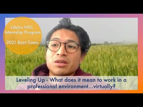 Leveling Up - What does it mean to work in a professional environment...virtually?