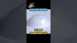 Will dry ice freeze water instantly? | Science Max #shorts