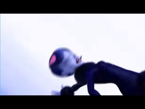 No one: miraculous