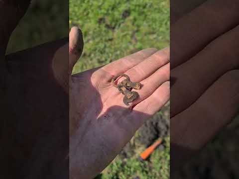 medieval soil find