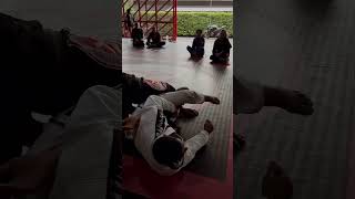 Omoplata from pass guard #jiujitsu #bjj #mma #nogi #style   #bjjfamily #bjjlifestyle  #life