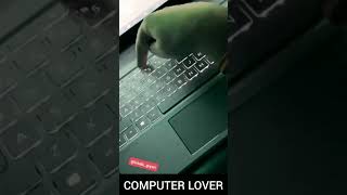 Laptop keyboard light turn on #shorts #laptop #shortvideo