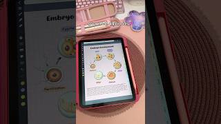 grwm to take digital notes 💕✏️ iPad note taking | keyboard ASMR | study with me