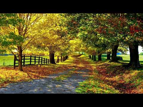 三石阿 , 知晏 - 夏日物語