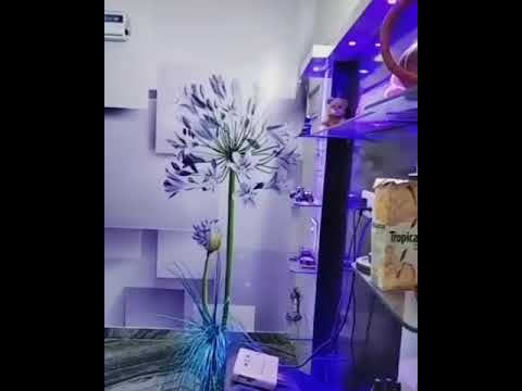 wall art | 3D wallpaper | room decoration | 8360206364