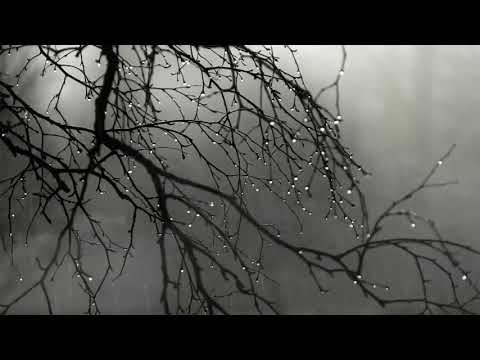 Sonido de LLUVIA para ESTUDIAR, DORMIR rápido o simplemente RELAJARSE. | 10 HORAS de LLUVIA.