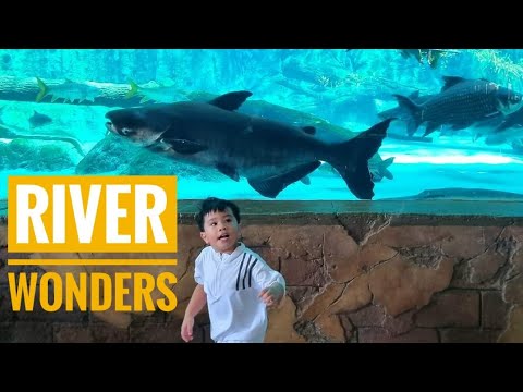 RIVER WONDERS, SINGAPORE EXPERIENCE
