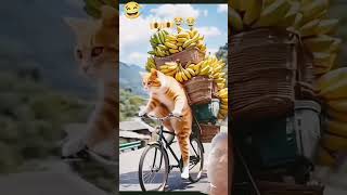 #funny #comedy #dog #fun #memes #dineshfun #dinesh #song #dineshcomedy #love