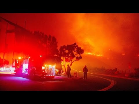 Echoes of the Forest Flame Song - Fire in Los Angeles