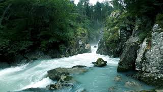 Mediation Music for focus and relaxation wellness music