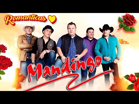 Grupo Mandingo 20 Exitos  🌹 Exitos Sus Mejores Canciones De Grupo Mandingo