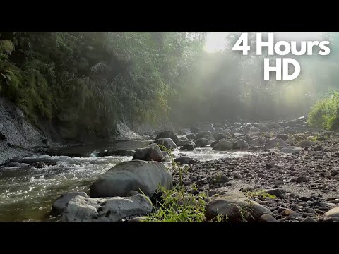 Relaxing Stream Sounds With Soothing Ambient Music - 4 Hours HD, Great For Meditation or Studying