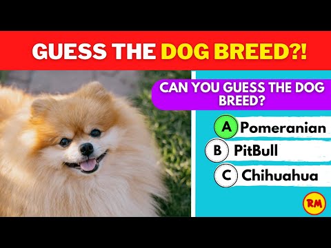 Can You Guess the Dog Breed? - Fun and Challenging Canine Quiz!