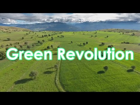 Green Revolution in India | What is Green Revolution | हरित क्रांति | @AAtoonsStudy