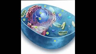 Kids Discover - Sign up for a free 60 day school wide trial!