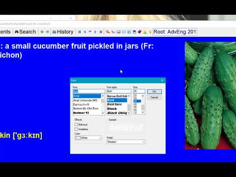 Changing fonts in SuperMemo. Stylesheets and templates