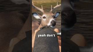He just stood there and TOOK IT 😫🦌🔫 | theHunter: Call of the Wild