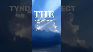 "Why is the sky blue? 🌌 Check out this cool demo #PhysicsInAction #TyndallEffect #ScienceShorts"
