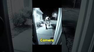 5 Mysterious Creatures Caught on Camera That Science Can’t Explain