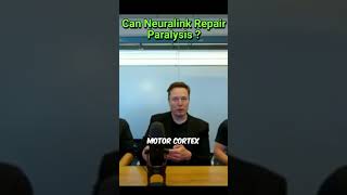Can Neuralink Repair Paralysis ? #elonmusk