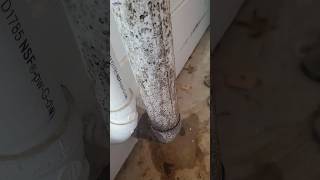 How To Prevent a Moldy Radon Mitigation System