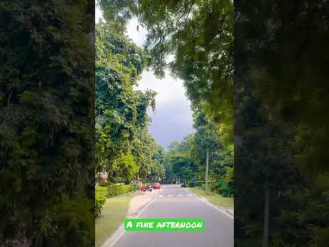 ICAR-Indian Agricultural Research Institute New Delhi// Campus View