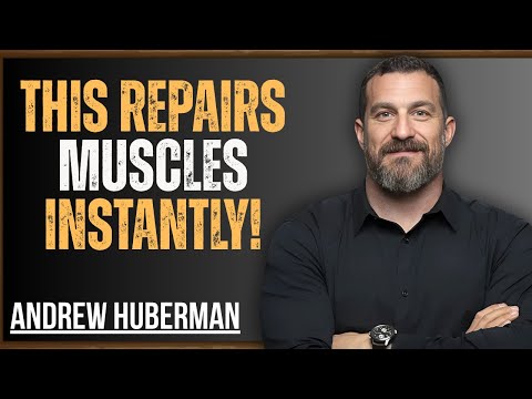 This One Food REVERSES Muscle Loss in Seniors — Even at 75! | Science-Backed by Andrew Huberman