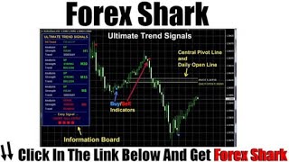 ForexShark Best Full Review + Demo – DISCOUNT Code 50% Off Promo + Activator + Tutorial