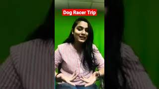 Dog Racer Trip New Update World Trip app 38 World Trip Application Level Complete,