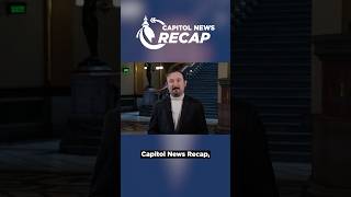 Democratic candidates for Illinois U S  Senate debate over ICE | Capitol News Recap