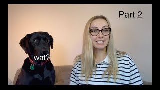 QA Engineer Interview Questions: Part 2