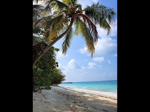 50th Birthday Celebrations in  Kuramathi Maldives