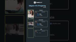 Mastering CSS Object-Fit & Object-Position: Tips & Tricks! 📏🎨