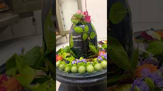 Shiv Ji ko Dhatura Kab Chadana Chaiye…#harharmahadev #shankara #trending #ytshorts #dhatura