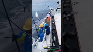 most unique fishing technique in the ocean